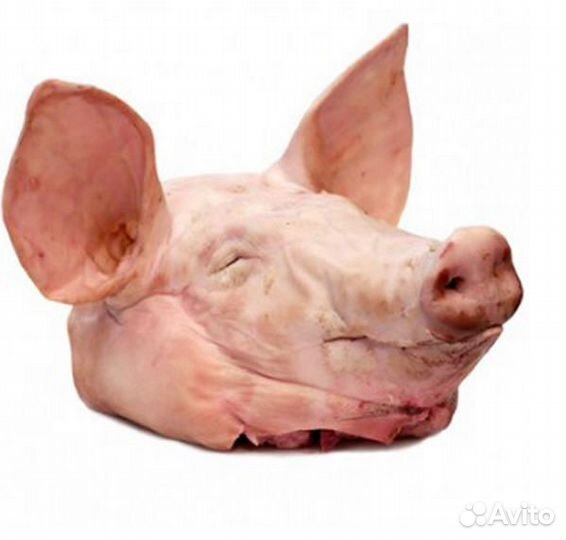 Сбой. Голова. Печень