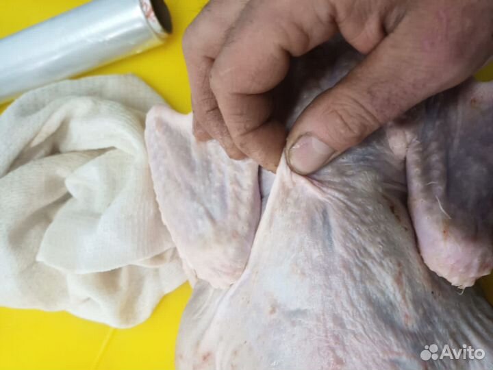 Утки мулард