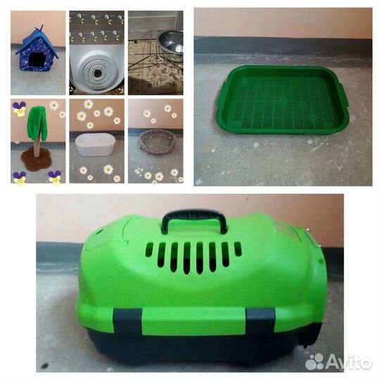 Товары для кошек