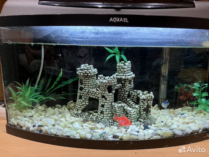Аквариум