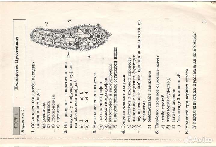Тесты по биологии 7 класс Гекалюк