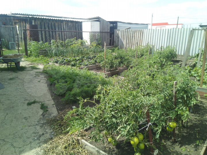 Дом 100 м² на участке 9 сот.