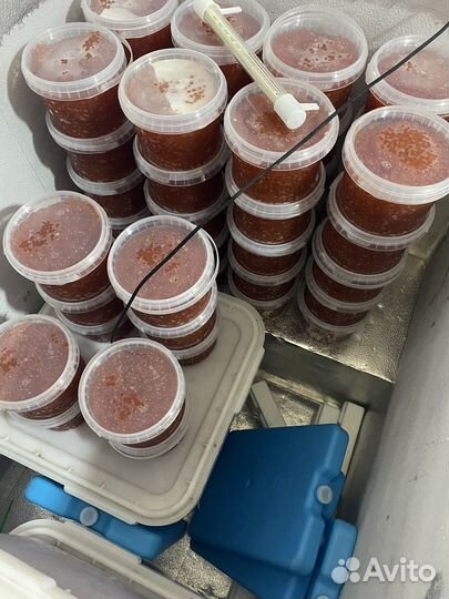 Икра красная Горбуши 2023