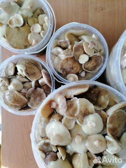 Грибы грузди соленые, маслёнок солено-маринованный