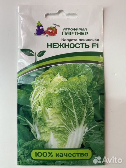 Рассада баклажана