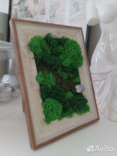 Картина из стабилизированного мха