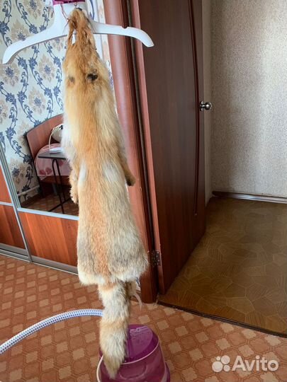 Меховой воротник лиса