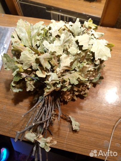 Листья дуба