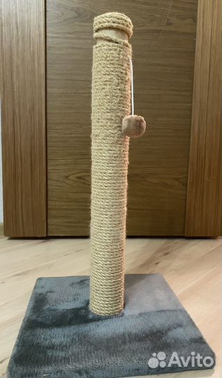 Когтеточка