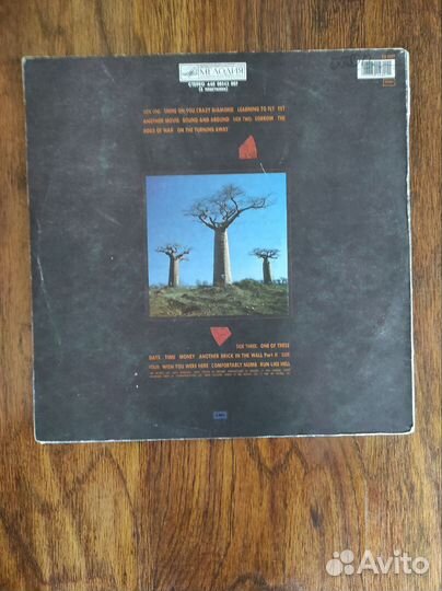 Pink Floyd - Delicate Sound of Thunder lp