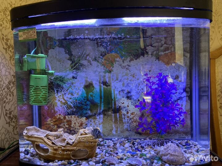 Аквариум