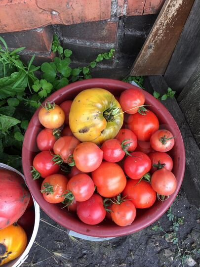 Дача 30 м² на участке 7 сот.