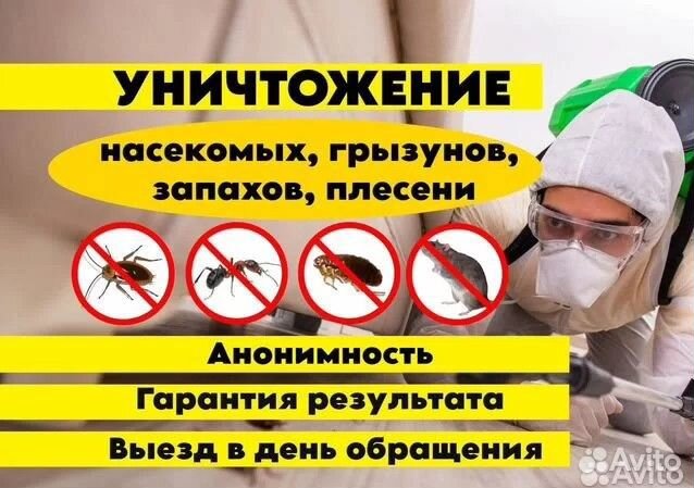 Уничтожение тараканов клопов Дезинфекция Травля