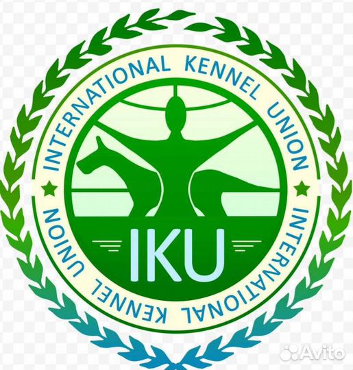 Регистрация помётов щенков