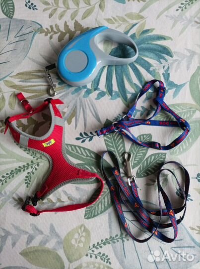 Одежда для маленьких собак