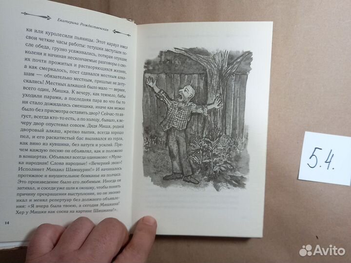 Девочка с Патриарших Рождественская Екатерина Робе