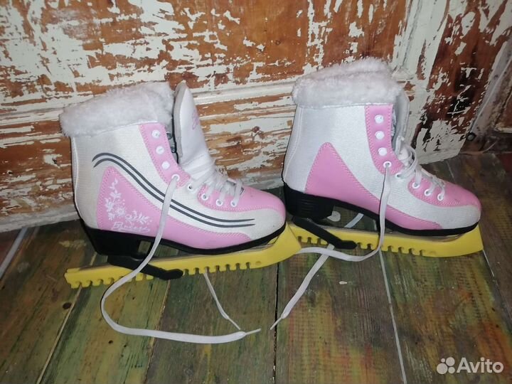 Коньки ледовые