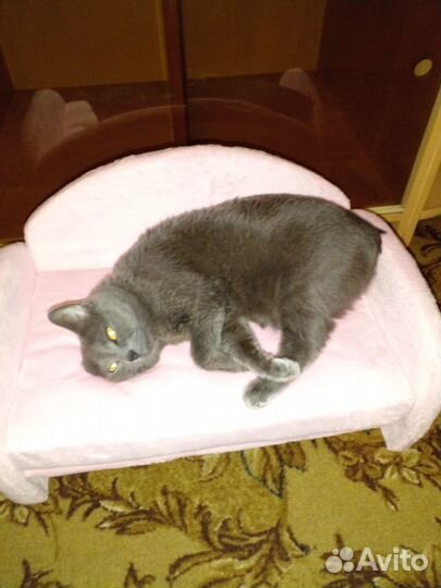 Лежанка для животных