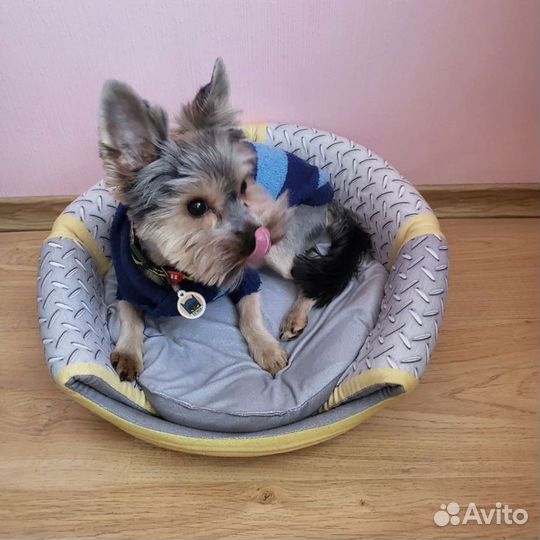 Домик трансформер для кошек и собак мелких пород