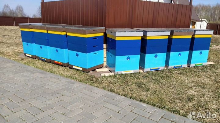 Улей 12 рам +2магазина