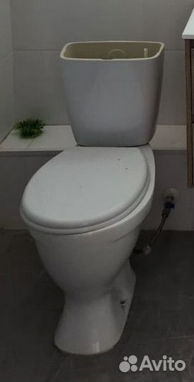 Раковина на ножке