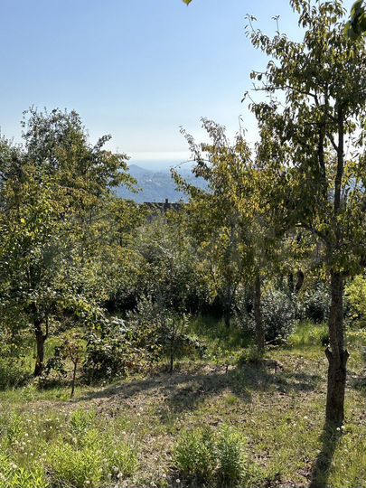 Участок 34 сот. (ИЖС)