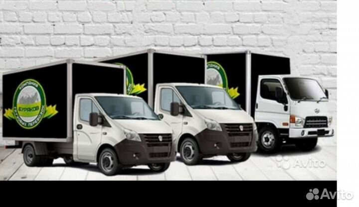 Грузоперевозки