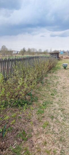 Дом 100 м² на участке 37 сот.