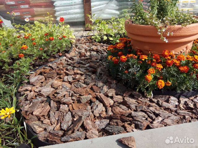 Кора сосновая от производителя с доставкой мудьча