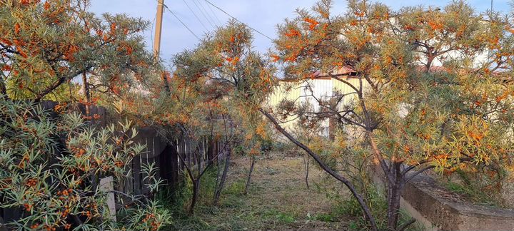 Участок 10 сот. (СНТ, ДНП)