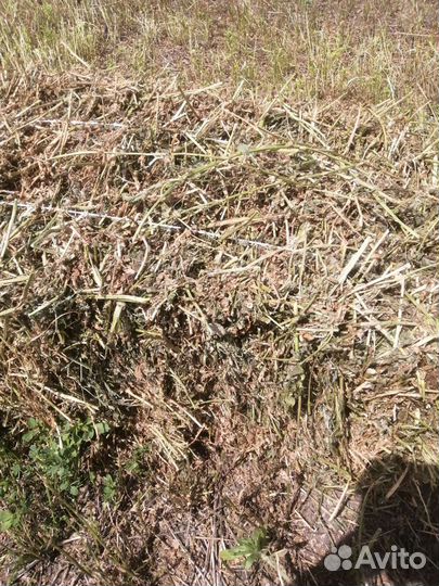 Сено в тюках