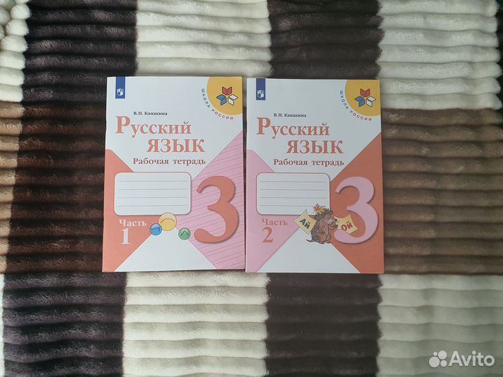 Рабочие тетради Канакина Школа России 3 класс