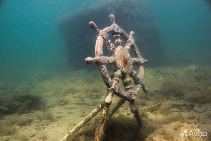 Экскурсионное погружение - Дайвинг от 8 до 55 лет