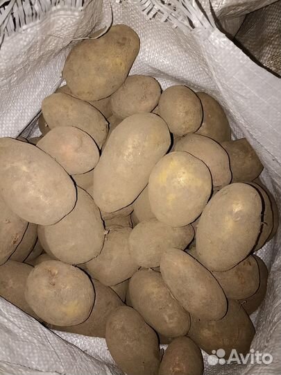 Продукты питания