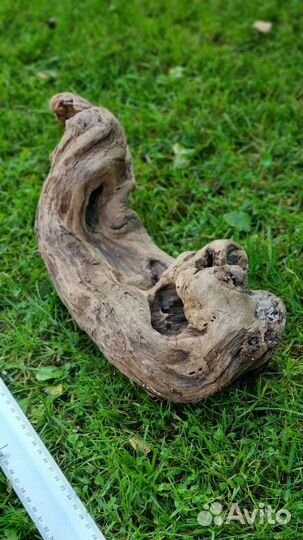 Коряги для аквариума дрифтвуд