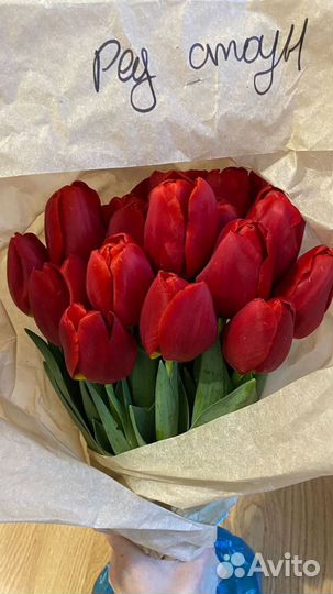 Тюльпаны опт букеты