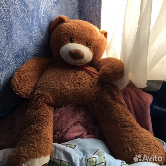 Плюшевый медведь