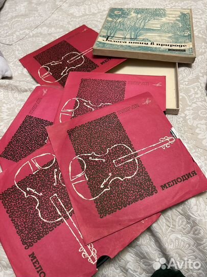 Грампластинки СССР Голоса птиц в природе