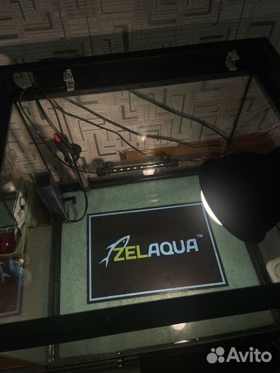 Черепаха с аквариумом