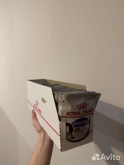 Корм для кошек royal canin sterilised в желе