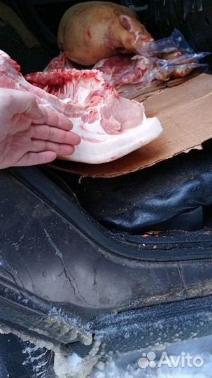 Мясо свинина домашняя