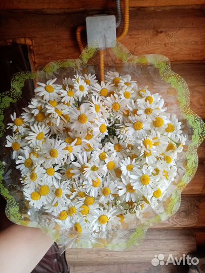 Букеты из ромашек