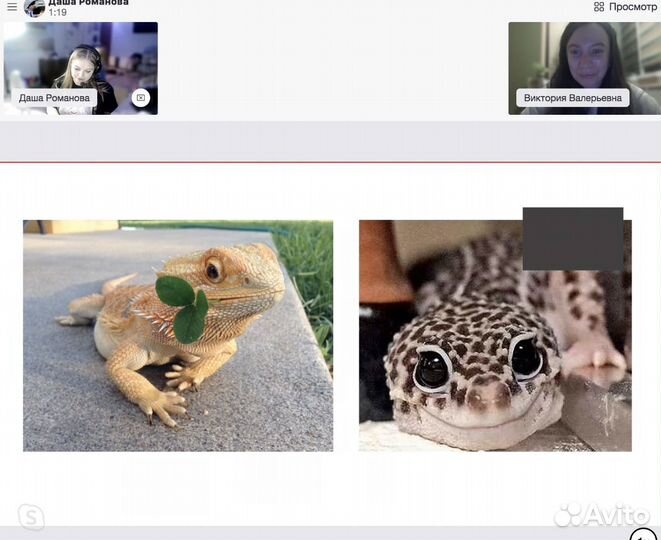 Репетитор по английскому языку