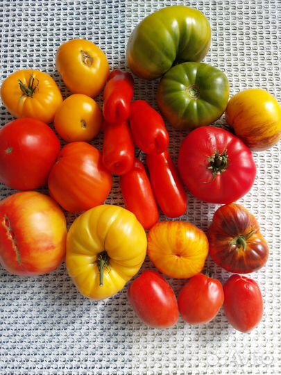 Семена томатов