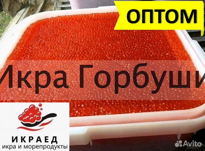 Икра горбуши 2023 Опт