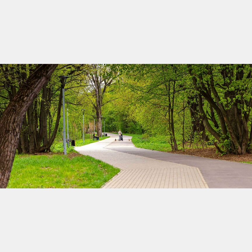 1-к. квартира, 31,4 м², 11/13 эт.