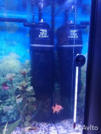 Внутренний фильтр aquael FAN - 3 plus