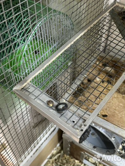 Витрина для грызунов