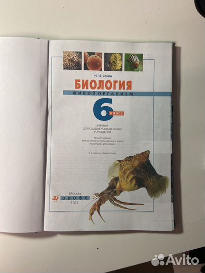 Учебник по биологии 6 класс