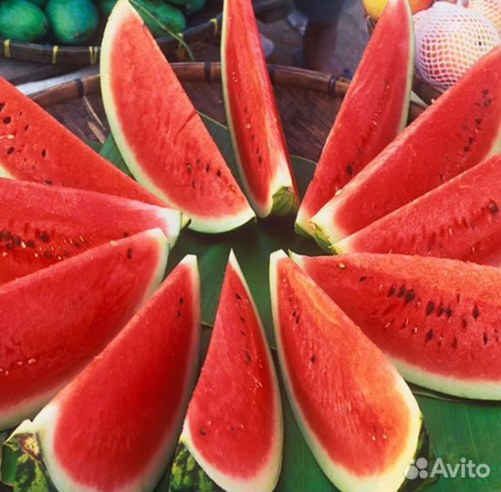 Семена Арбуза